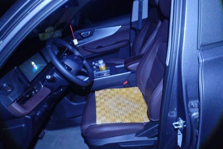 Used Chery Tiggo 7 2025 Excellence Version 1.5T CVT Luxury Edition Left Front Seat
