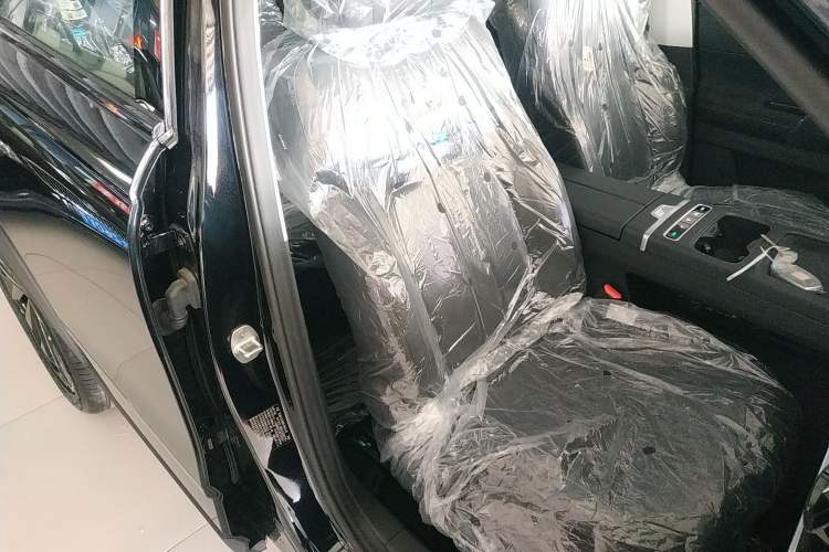 Used Chery Tiggo 7 C-DM 2025 1.5T 120KM Luxury Trim Right Front Seat