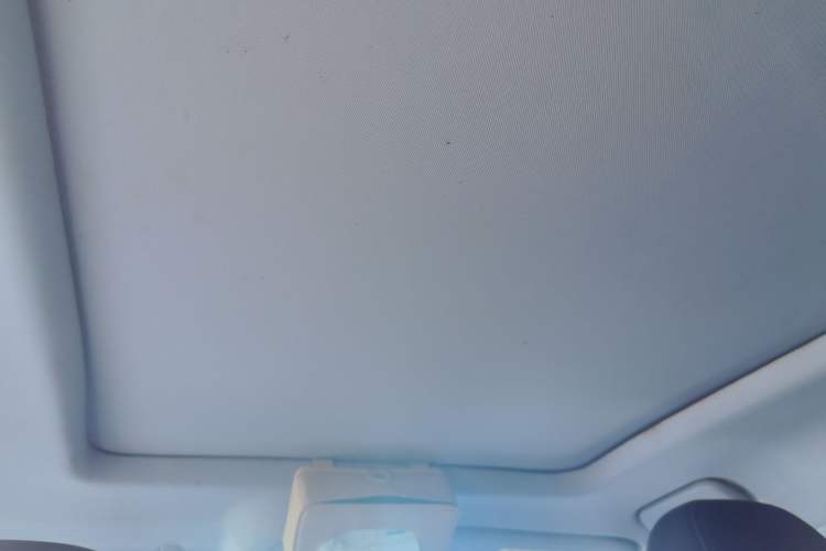 Used Chery Tiggo 7 PLUS 2021 1.5T CVT Prestige Model Headliner