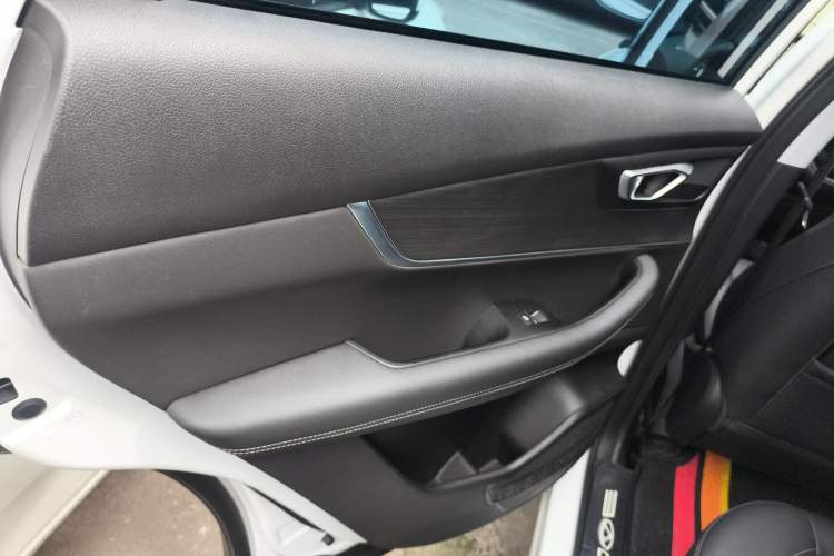 Used Chery Tiggo 7 PLUS 2021 1.5T CVT Prestige Model Left Rear Door Interior