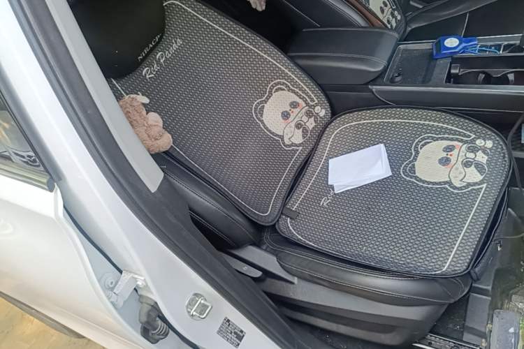 Used Chery Tiggo 7 PLUS 2021 1.5T CVT Prestige Model Right Front Seat