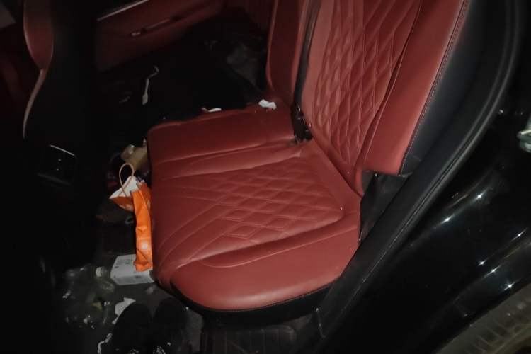 Used Chery Tiggo 7 PLUS 2023 1.6 TGDI DCT Prestige Edition Left Rear Seat