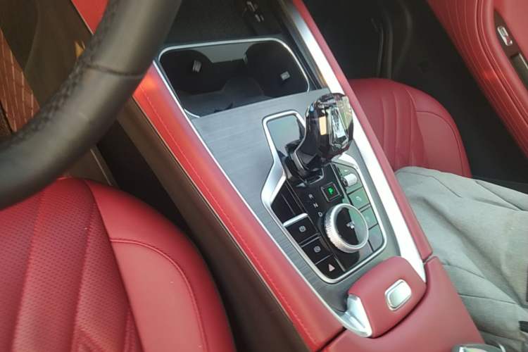 Used Chery Tiggo 7 PLUS 2023 1.6 TGDI DCT Luxury Model Gear Lever