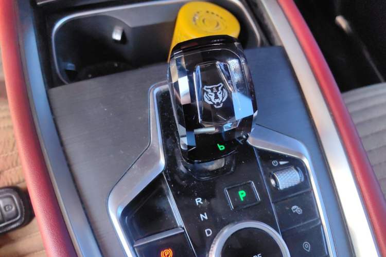 Used Chery Tiggo 7 PLUS 2023 1.6 TGDI DCT Luxury Model Gear Lever