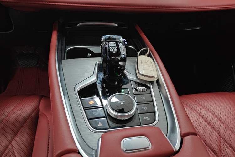 Used Chery Tiggo 7 PLUS 2023 1.6 TGDI DCT Prestige Edition Gear Lever