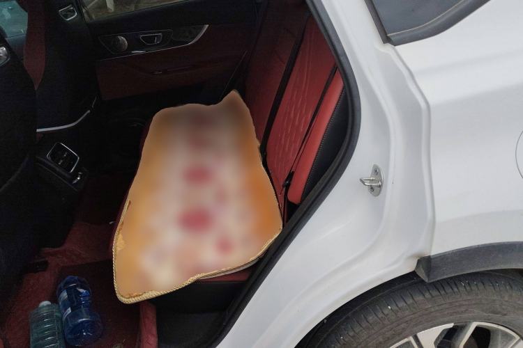 Used Chery Tiggo 7 PLUS 2023 Champion Edition 1.6 TGDI DCT Extraordinary Version Left Rear Seat