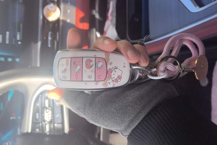 Used Chery Tiggo 7 PLUS 2023 1.6 TGDI DCT Flagship Version Vehicle Key