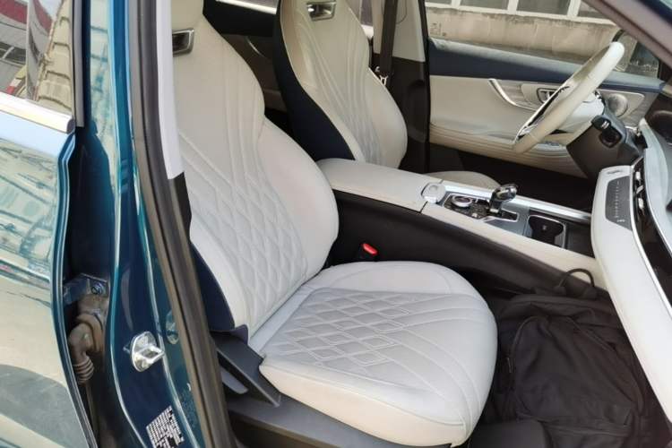 Used Chery Tiggo 7 PLUS New Energy 2023 Champion Edition 1.5T 100KM Speedy Version Right Front Seat