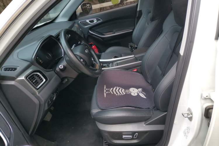 Used Chery Tiggo 8 2018 1.5 TCI Automatic Luxury Model 5 Seats Left Front Seat