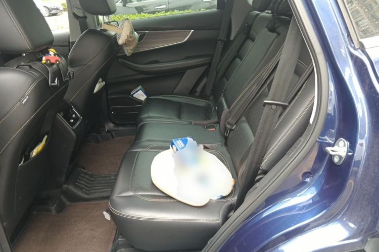 Used Chery Tiggo 8 2019 1.6 TGDI Automatic Luxury Model Left Rear Seat