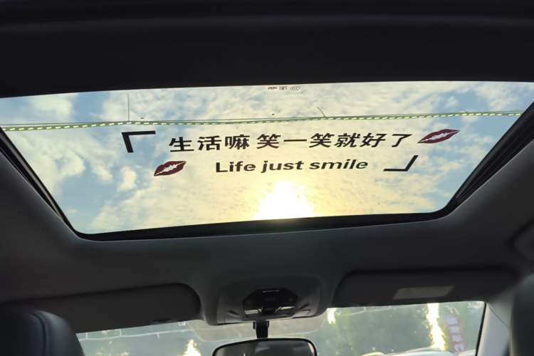 Used Chery Tiggo 8 2019 1.6 TGDI Automatic Fashion Edition Headliner