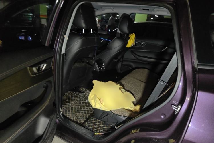 Used Chery Tiggo 8 2019 1.6 TGDI Automatic Elite Model Left Rear Seat