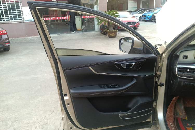 Used Chery Tiggo 8 2019 1.5 TCI Automatic Elite Model Left Front Door Interior