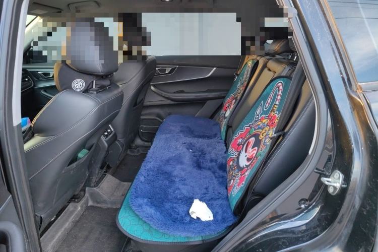Used Chery Tiggo 8 2020 1.5 TCI Manual Special Edition 7-Seater Left Rear Seat