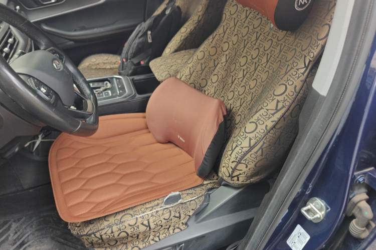 Used Chery Tiggo 8 2020 Facelifted Version 290TGDI Automatic Elite Edition Left Front Seat