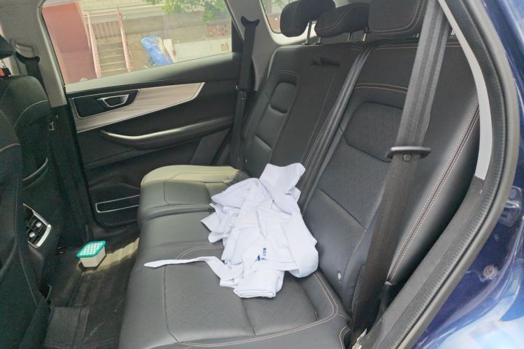 Used Chery Tiggo 8 2020 Revised Version 290TGDI Automatic Luxury Edition Left Rear Seat