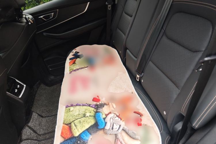 Used Chery Tiggo 8 2020 290TGDI Automatic Elite Edition Left Rear Seat