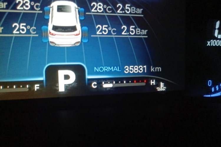 Used Chery Tiggo 8 2020 Revised Version 290TGDI Automatic Luxury Edition Odometer Close Up