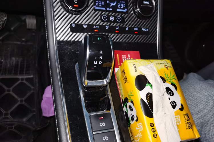 Used Chery Tiggo 8 2020 290TGDI Automatic Luxury Edition Gear Lever