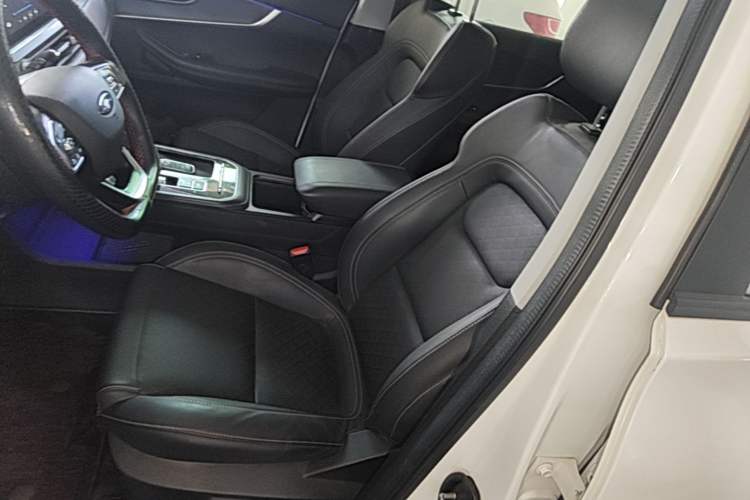 Used Chery Tiggo 8 2020 Facelifted Version 290TGDI Automatic Elite Edition Left Front Seat