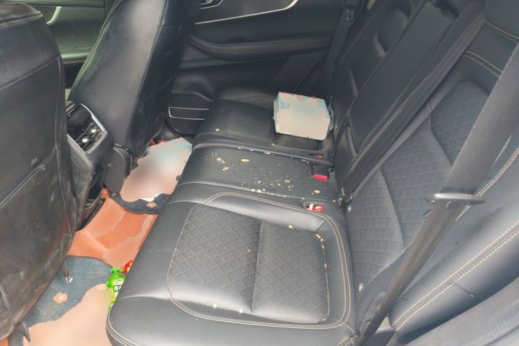 Used Chery Tiggo 8 2020 Facelifted Version 290TGDI Automatic Elite Edition Left Rear Seat