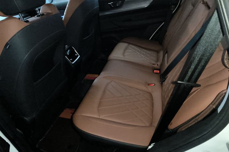 Used Chery Tiggo 8 2020 Revised Version 290TGDI Automatic Luxury Edition Left Rear Seat