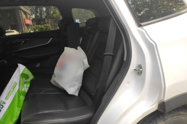 Used Chery Tiggo 8 2020 290TGDI Automatic Elite Edition Left Rear Seat