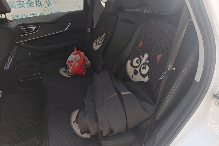 Used Chery Tiggo 8 2020 Facelifted Version 290TGDI Automatic Elite Edition Left Rear Seat