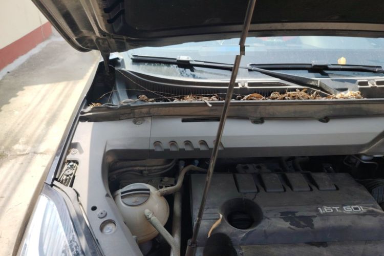 Used Chery Tiggo 8 2021 Kunpeng Edition 290TGDI Automatic Fuyao Version Engine Bay Right