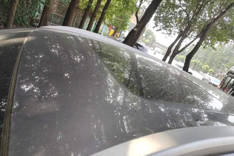 Used Chery Tiggo 8 2021 Kunpeng Edition 390TGDI Automatic Zhubfeng Version Roof