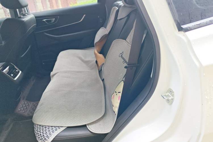 Used Chery Tiggo 8 2023 230TCI Automatic Advanced Edition Left Rear Seat