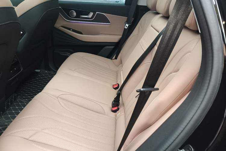 Used Chery Tiggo 8 L 2024 2.0T Two-Wheel Drive Prestige Version 5 Seats Left Rear Seat