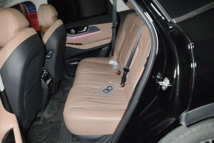 Used Chery Tiggo 8 L 2024 2.0T Two-Wheel Drive Luxury Edition 5 Seats Left Rear Seat