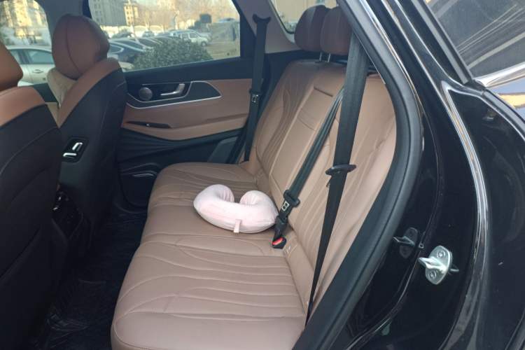 Used Chery Tiggo 8 L 2024 2.0T Two-Wheel Drive Prestige Version 5 Seats Left Rear Seat