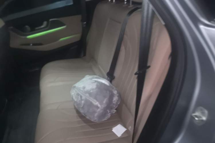Used Chery Tiggo 8 L 2024 2.0T Two-Wheel Drive Luxury Edition 5 Seats Left Rear Seat