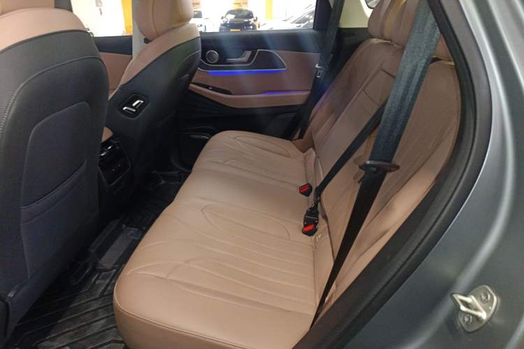Used Chery Tiggo 8 L 2024 2.0T Two-Wheel Drive Prestige Version 5 Seats Left Rear Seat