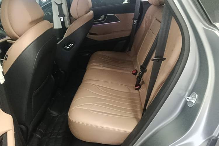 Used Chery Tiggo 8 L 2024 2.0T Two-Wheel Drive Prestige Version 5 Seats Left Rear Seat