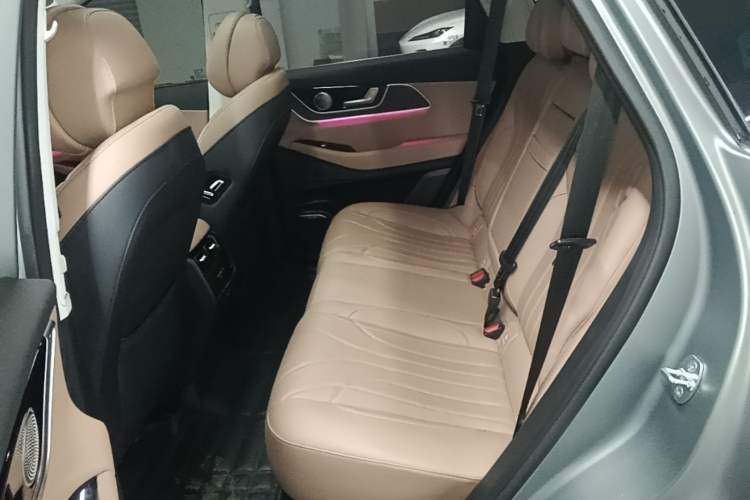 Used Chery Tiggo 8 L 2024 2.0T Two-Wheel Drive Prestige Version 5 Seats Left Rear Seat