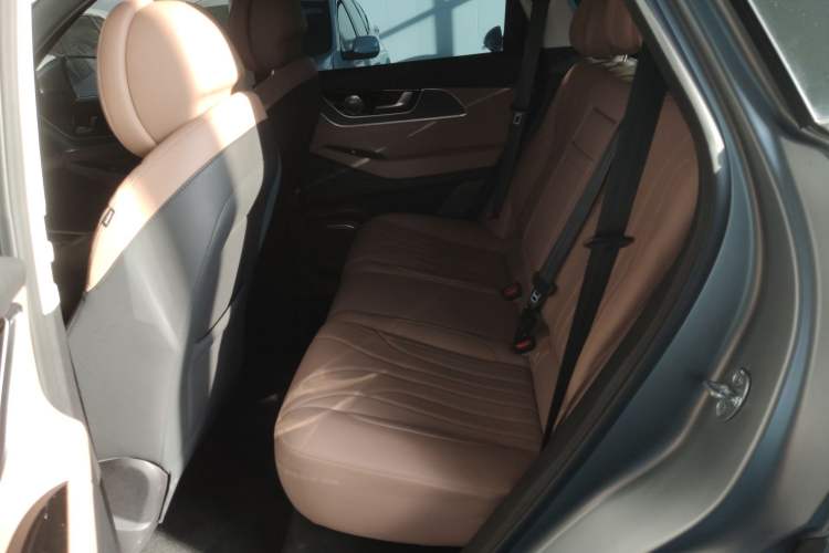 Used Chery Tiggo 8 L 2024 2.0T Two-Wheel Drive Prestige Version 5 Seats Left Rear Seat