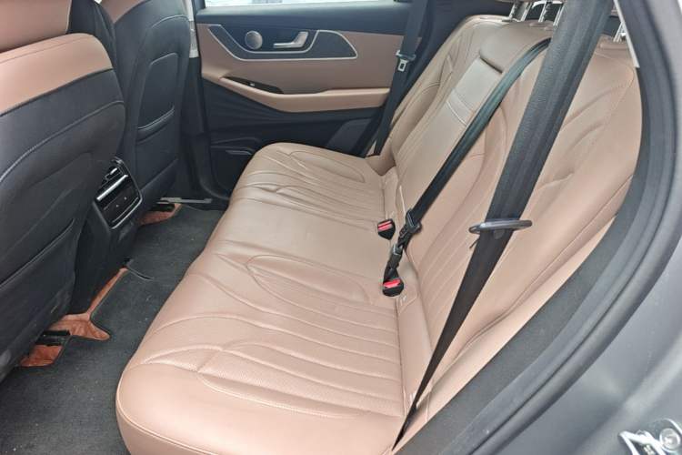 Used Chery Tiggo 8 L 2024 2.0T Two-Wheel Drive Prestige Version 5 Seats Left Rear Seat