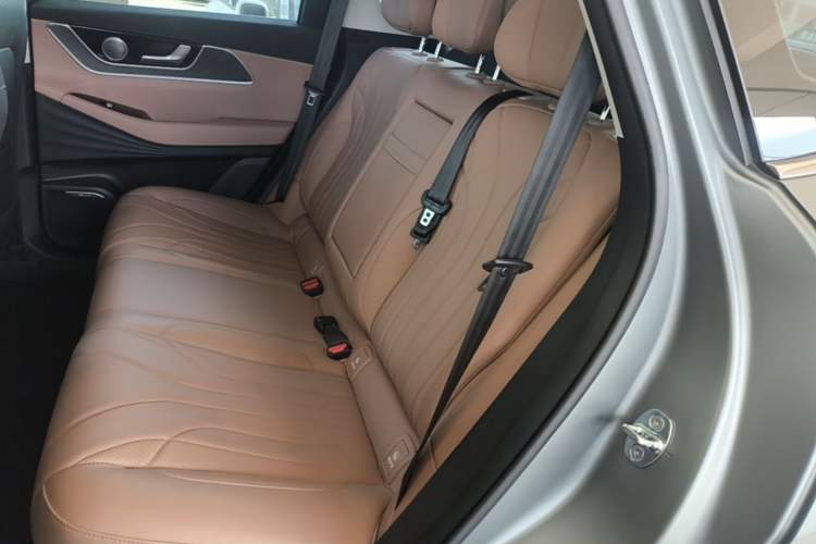 Used Chery Tiggo 8 L 2024 2.0T Two-Wheel Drive Prestige Version 5 Seats Left Rear Seat