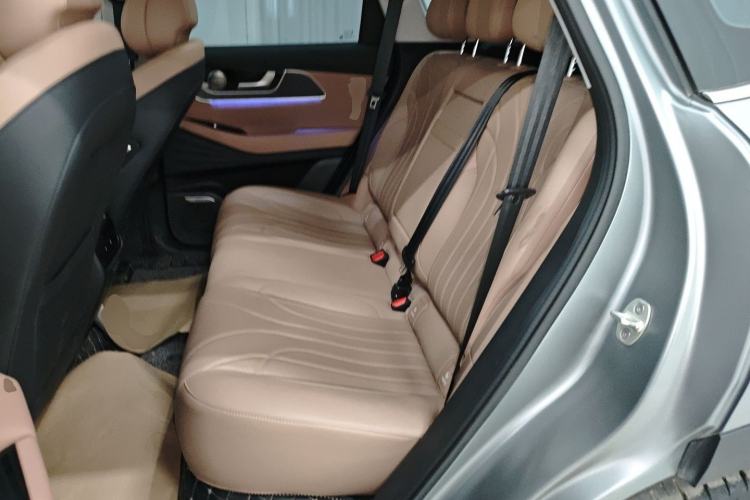 Used Chery Tiggo 8 L 2024 2.0T Two-Wheel Drive Prestige Version 5 Seats Left Rear Seat