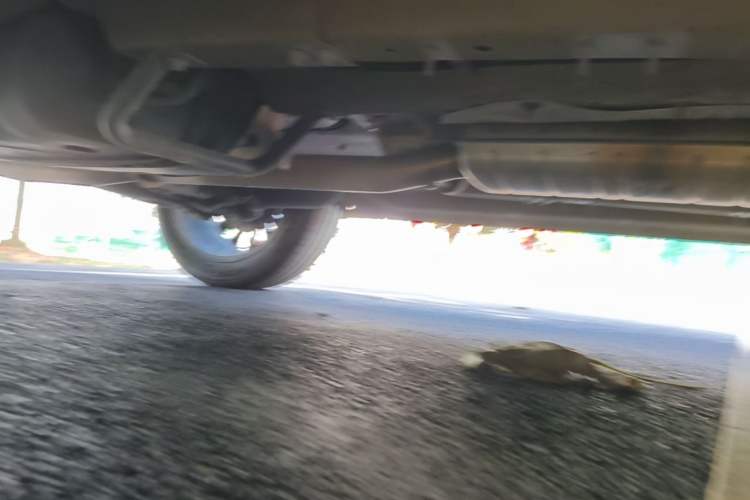 Used Chery Tiggo 8 L 2024 2.0T Two-Wheel Drive Prestige Version 5 Seats Right Side Sill