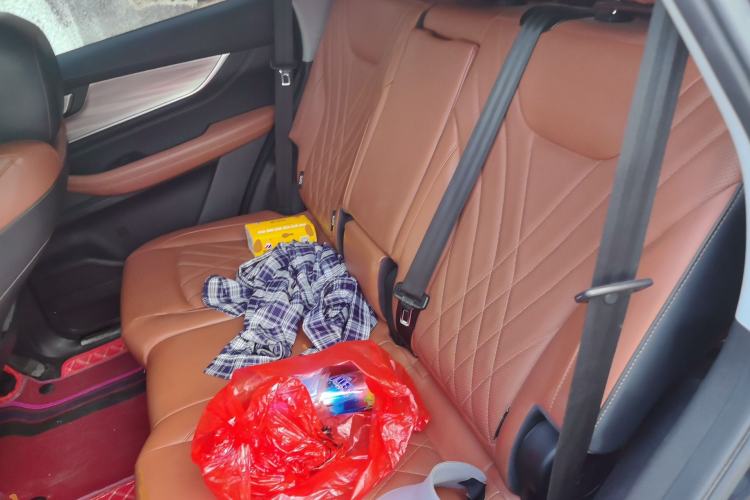 Used Chery Tiggo 8 PLUS 2021 290TGDI DCT Luxury Edition 6-Seater Left Rear Seat