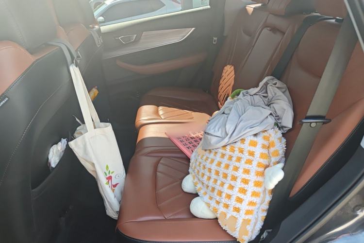 Used Chery Tiggo 8 PLUS 2021 290TGDI DCT Haoyao Edition Left Rear Seat