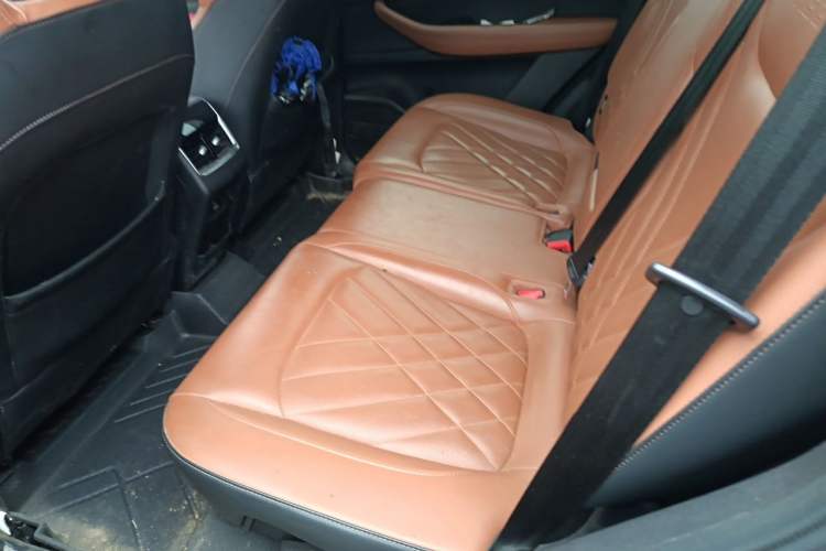 Used Chery Tiggo 8 PLUS 2021 290TGDI DCT Luxury Edition Left Rear Seat