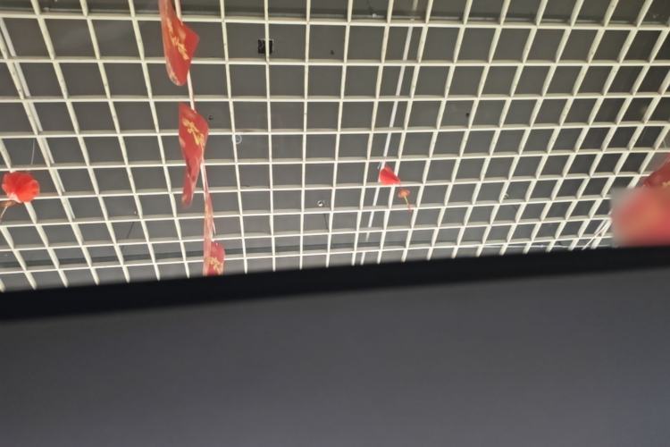 Used Chery Tiggo 8 PLUS 2021 290TGDI DCT Haoting Edition Headliner