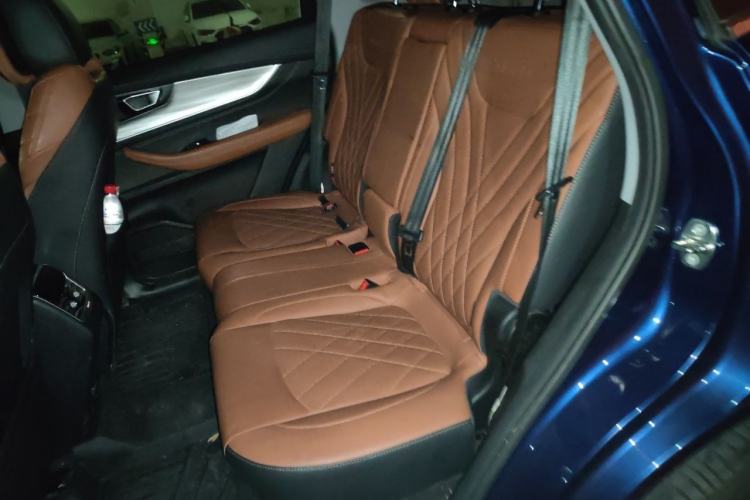 Used Chery Tiggo 8 PLUS 2021 290TGDI DCT Luxury Edition Left Rear Seat