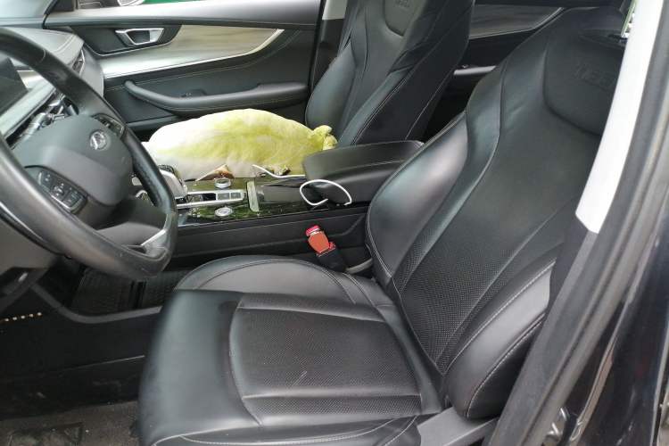 Used Chery Tiggo 8 PLUS 2021 290TGDI DCT Haoting Edition+ Driver Seat