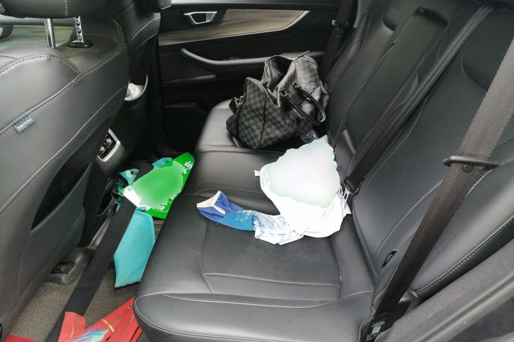 Used Chery Tiggo 8 PLUS 2021 290TGDI DCT Haoting Edition+ Left Rear Seat